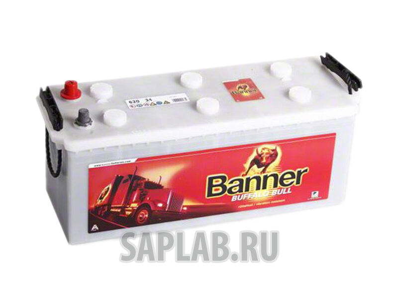 Купить Banner 62034 Buffalo Bull 62034