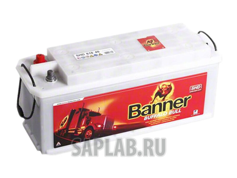 Купить Banner SHD61040 Buffalo Bull Shd SHD61040