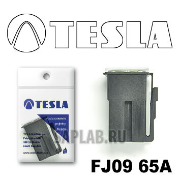 Купить Tesla FJ0965A Предохранитель картриджного типа FJ09 65А