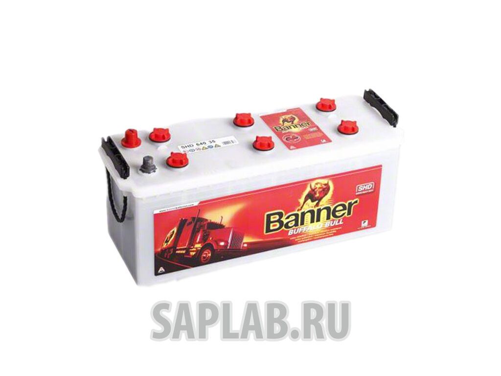 Купить Banner 64035 Buffalo Bull 64035