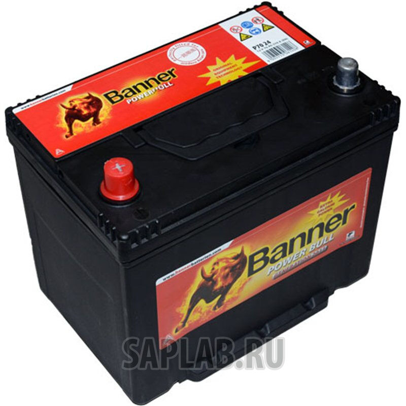 Купить Banner P7024 Power Bull P7024