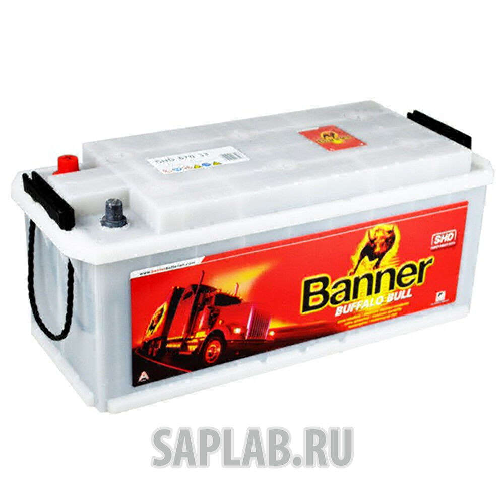 Купить Banner SHD67033 Buffalo Bull Shd SHD67033