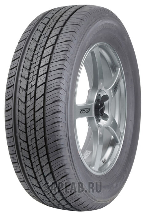 Купить Dunlop 275513 225/60R18 GRANDTREK ST30 100H