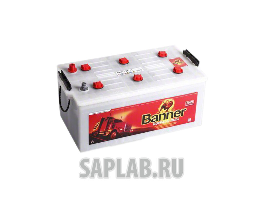 Купить Banner SHD72511 Buffalo Bull Shd SHD72511